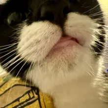 Extreme close-up of Lucy