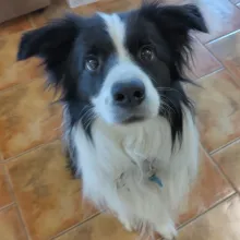 Luke looking attentive