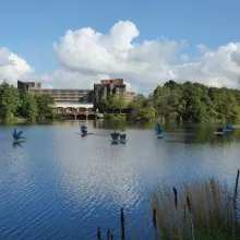 Hilton Metropole viewed from across the lake