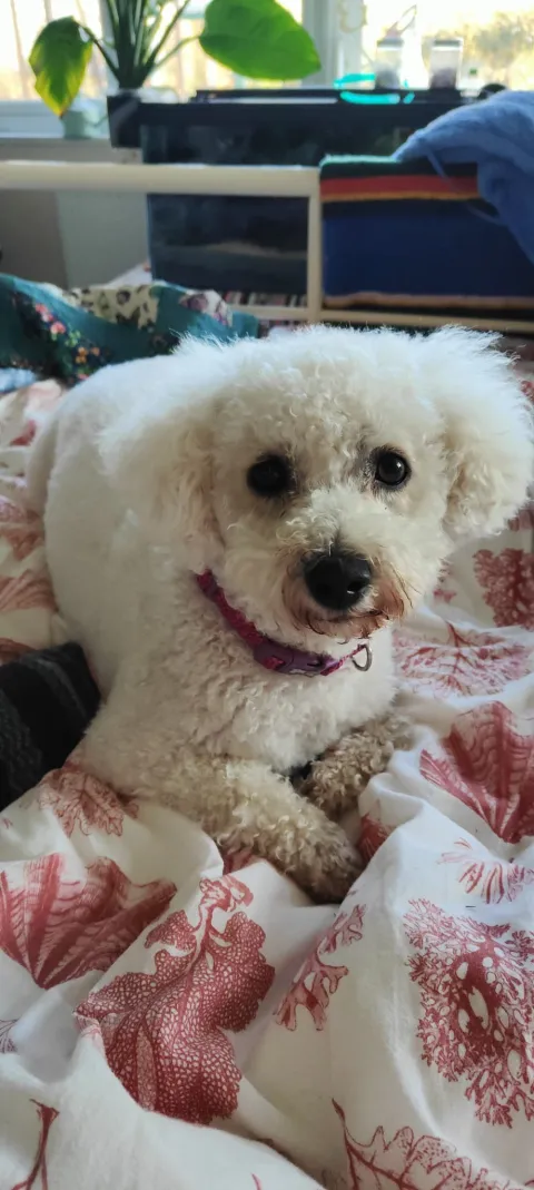 11/10 for cuteness!