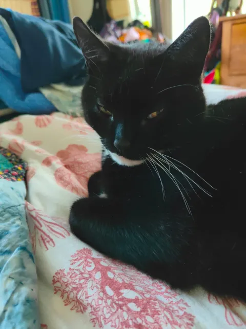 Tuz looks peaceful and approachable. That is a lie.