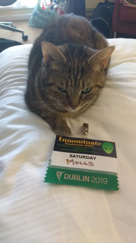 Cat with a 2017 Eastercon Badge