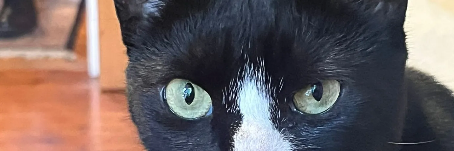 Hodge assessing the situation