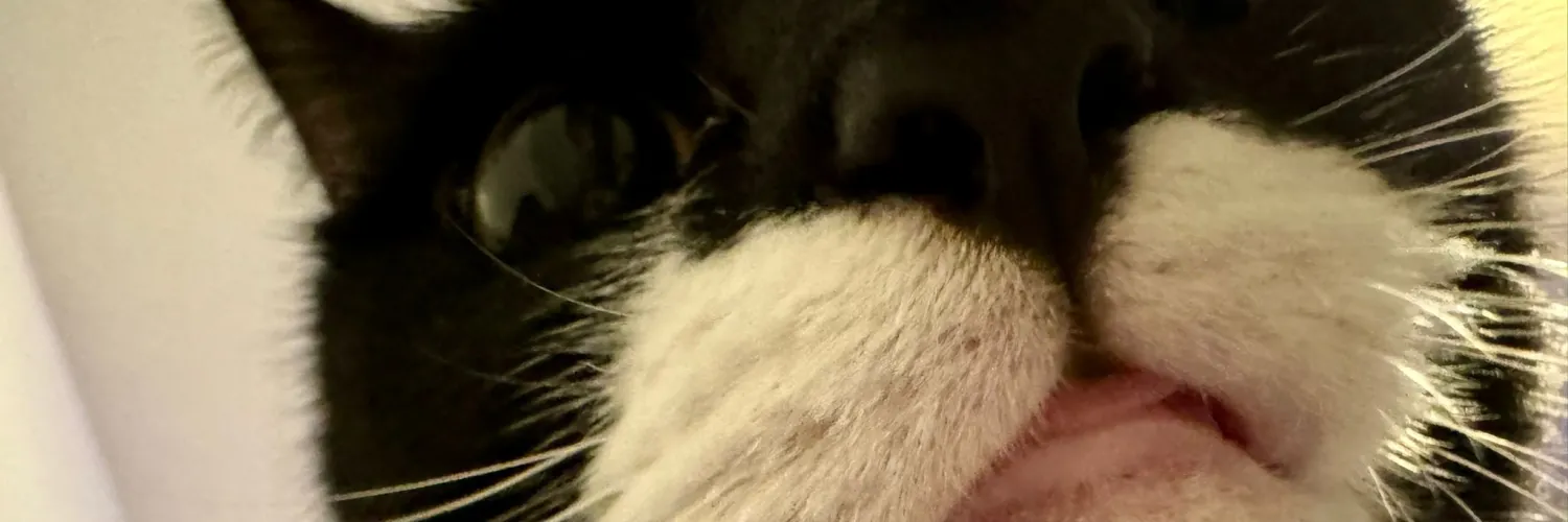 Extreme close-up of Lucy