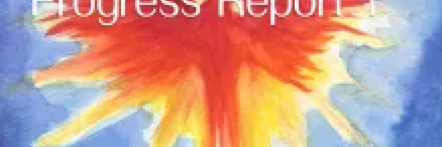 Watercolor of a fiery pheonix on a blue background with the text "Progress Report"